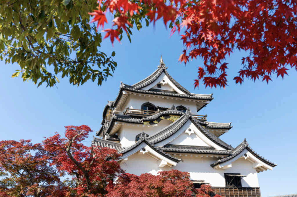 大阪城公園楓葉