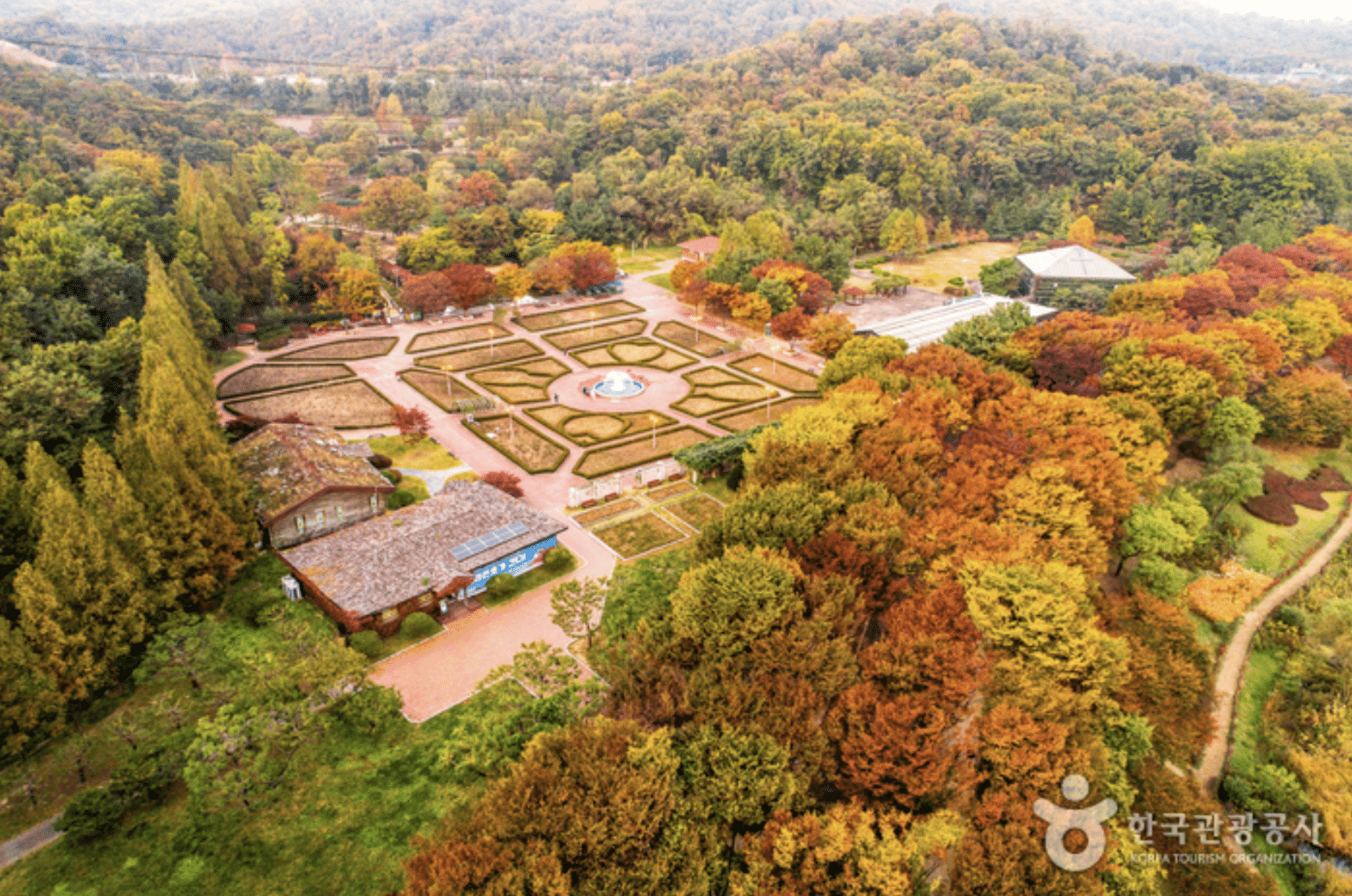 仁川大公園楓葉