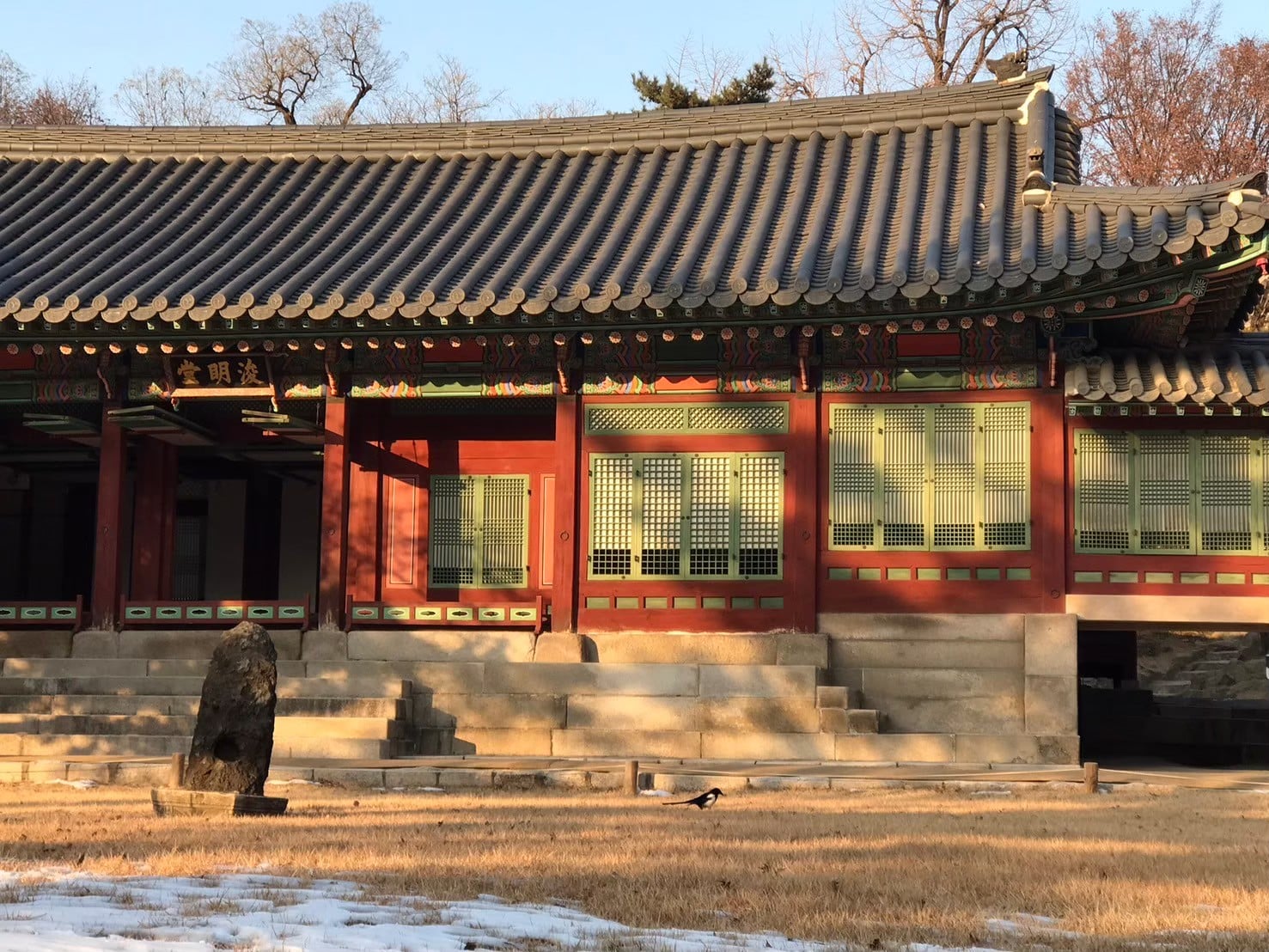 2026最新韓國退稅攻略，現場退稅/市區退稅/機場退稅完整解析