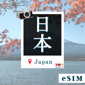 威訊 日本eSIM