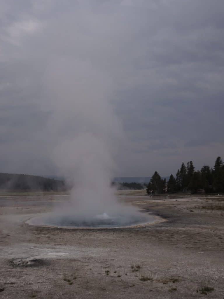 S__17916042_0