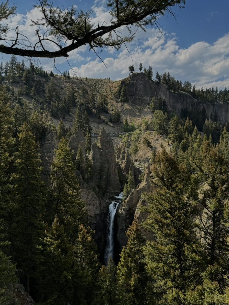 S__17924100_0