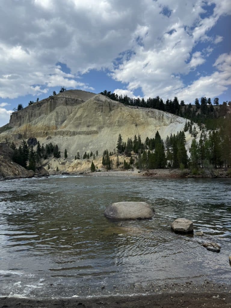 S__17924101_0