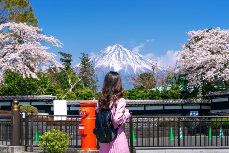 Tourist looking at Fuji mountain and cherry blossom in spring, F