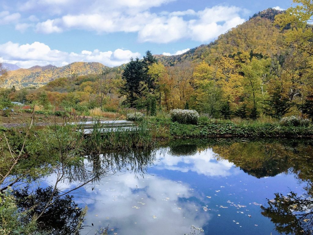 北海道 定山溪農場體驗+自然彩燈節