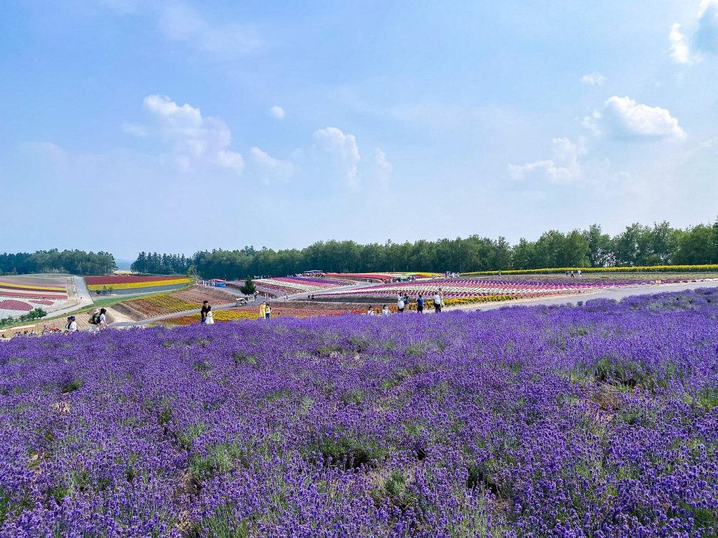 北海道 四季彩之丘